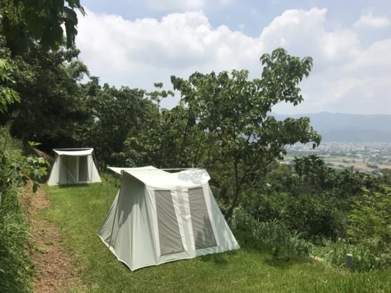 柚香露露經典春帳
