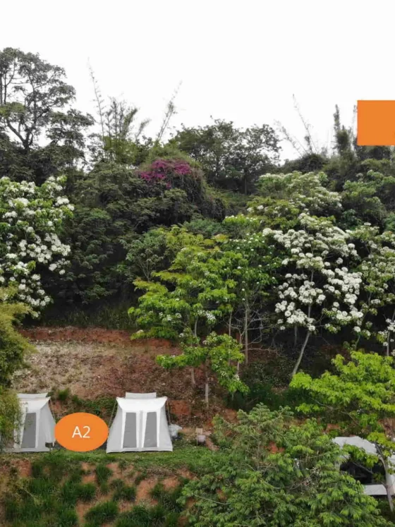 柚香露露上野營地空拍